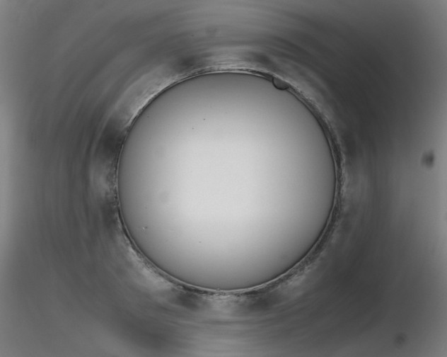 X0000116840897200912181455