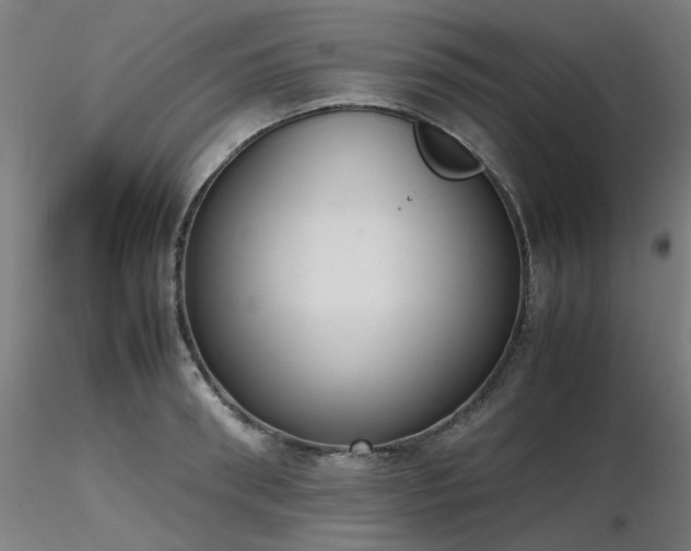 X0000116840898200912181455