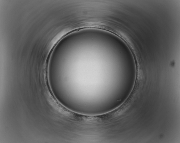 X0000116840899200912181455