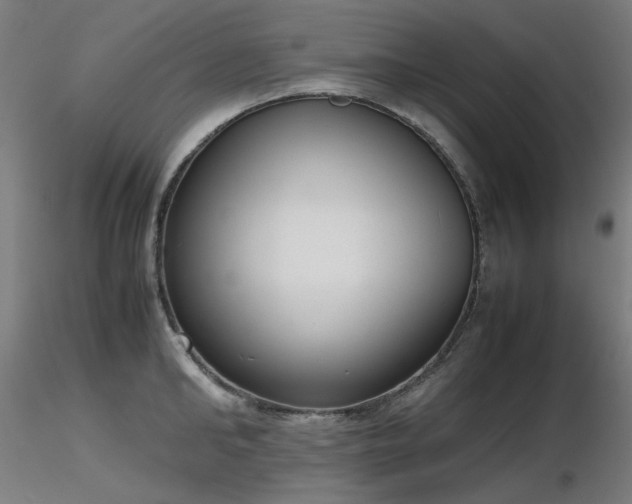X0000116840902200912181455