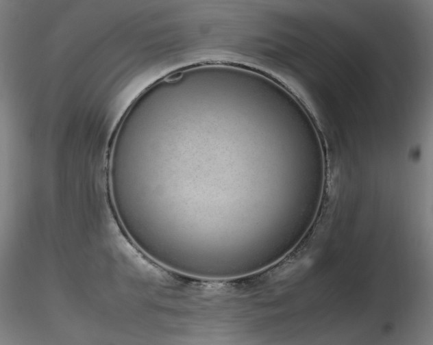 X0000116840903200912181455