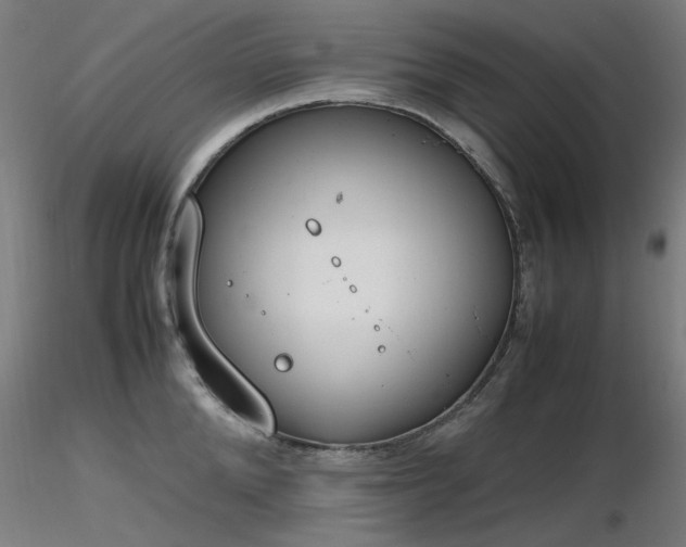 X0000116840904200912181455