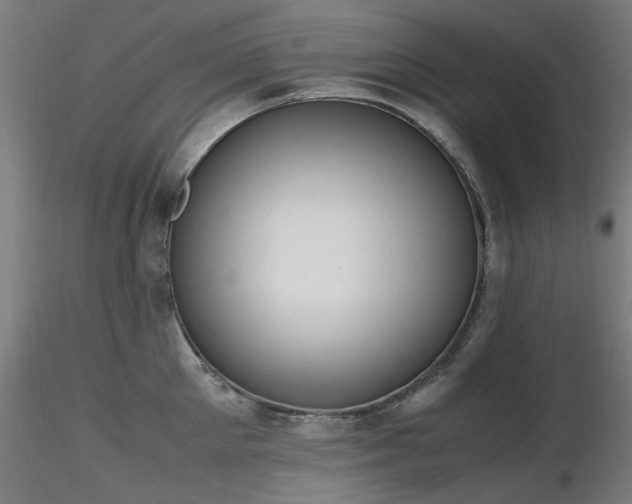 X0000116840905200912181455