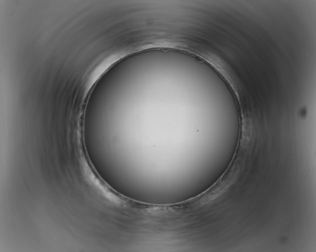 X0000116840906200912181455