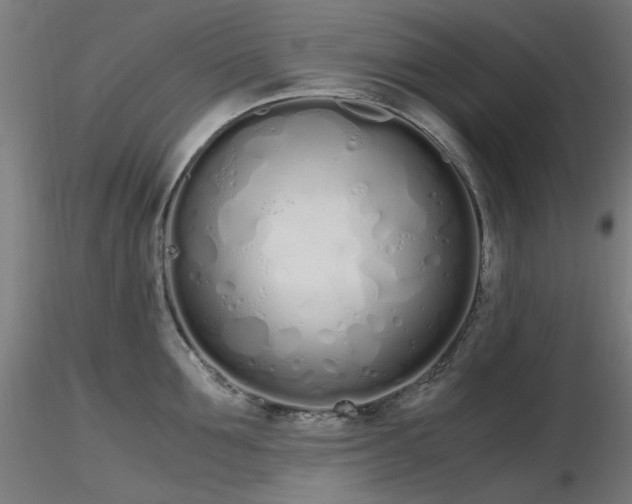 X0000116840907200912181454
