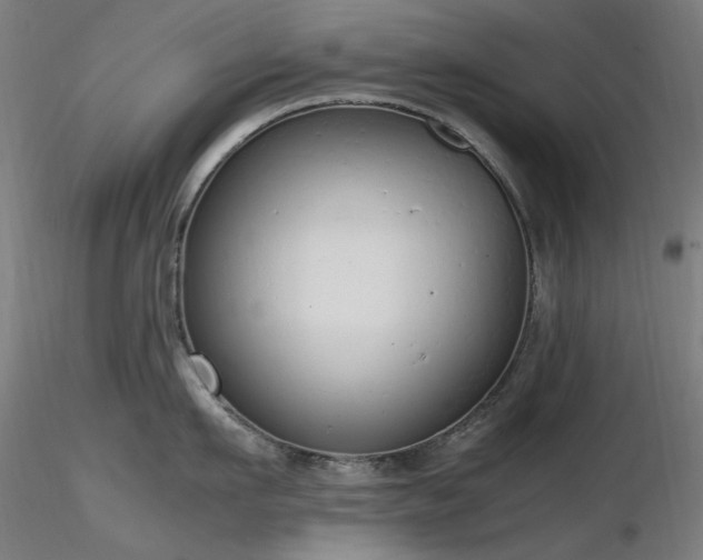 X0000116840911200912181454