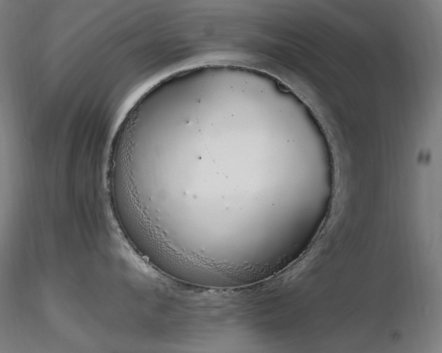 X0000116840912200912181454