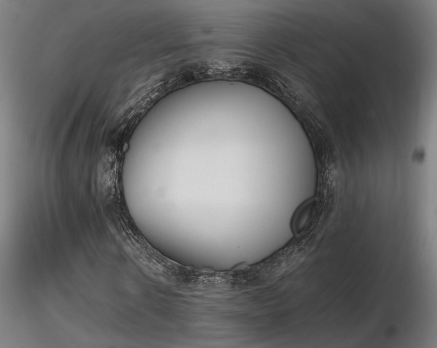 X0000116840914200912181454
