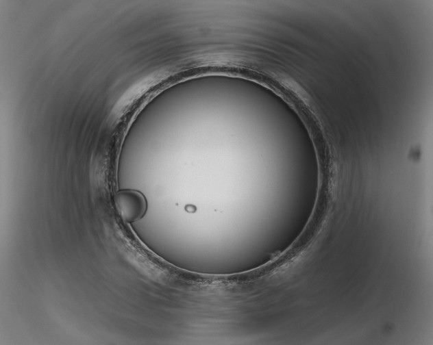 X0000116840922200912181454