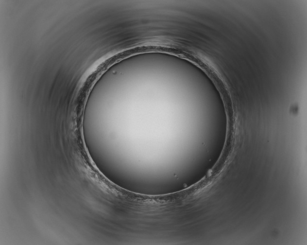 X0000116840923200912181454