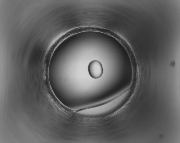 X0000116840925200912181454