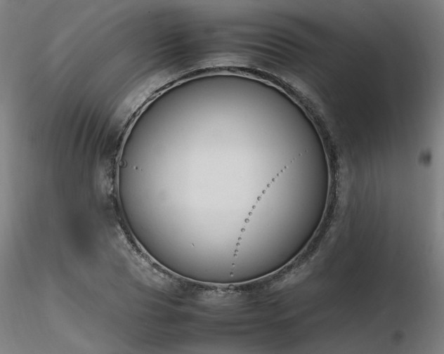 X0000116840929200912181454