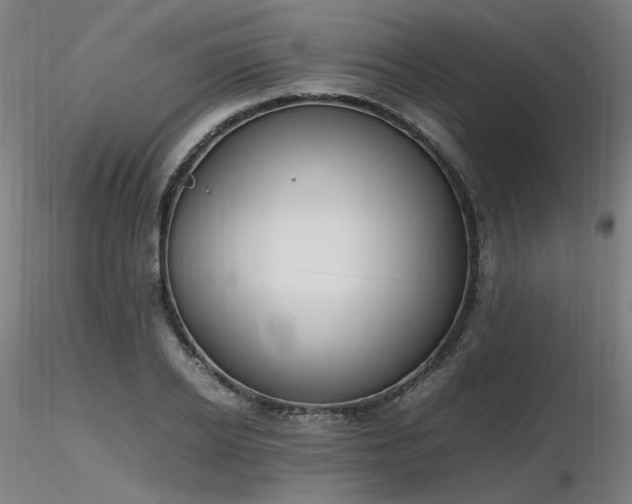 X0000116840934200912181454