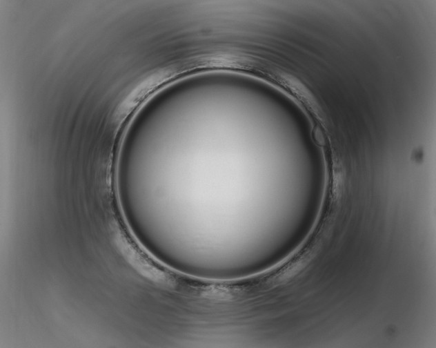 X0000116840938200912181454