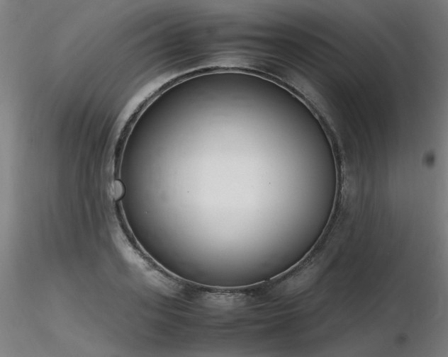 X0000116840939200912181454