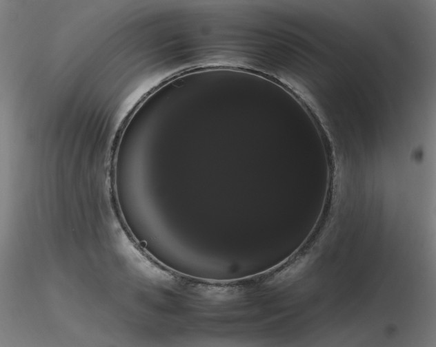 X0000116840941200912181454