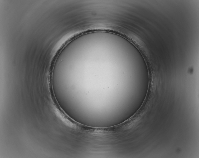 X0000116840942200912181454