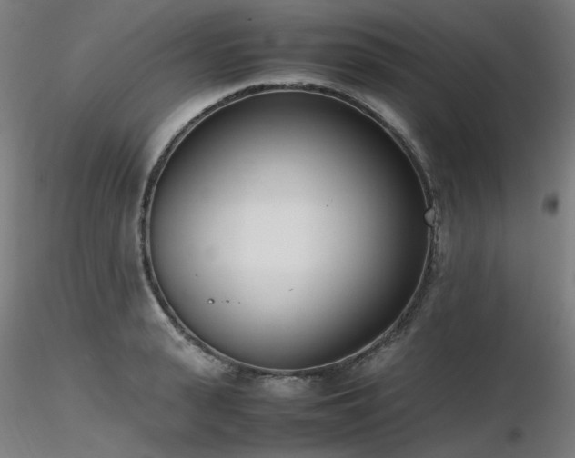 X0000116840943200912181454