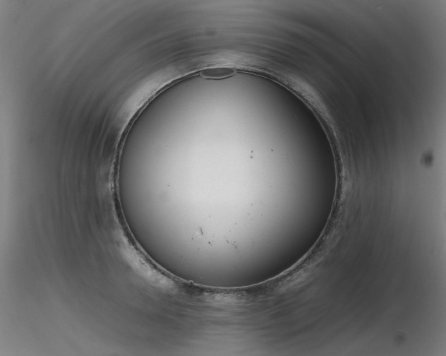 X0000116840946200912181454
