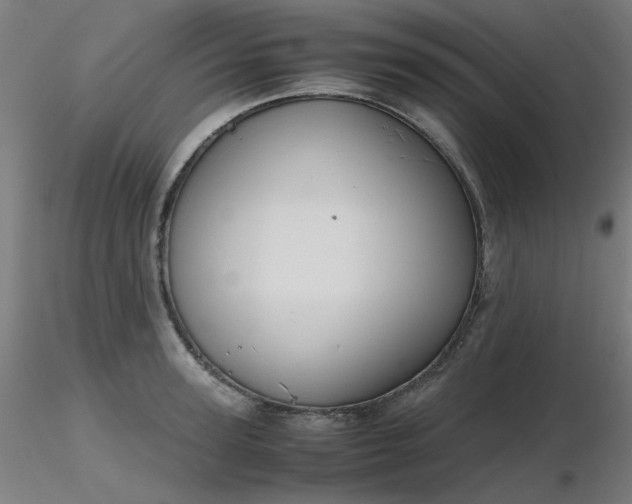 X0000116840947200912181454