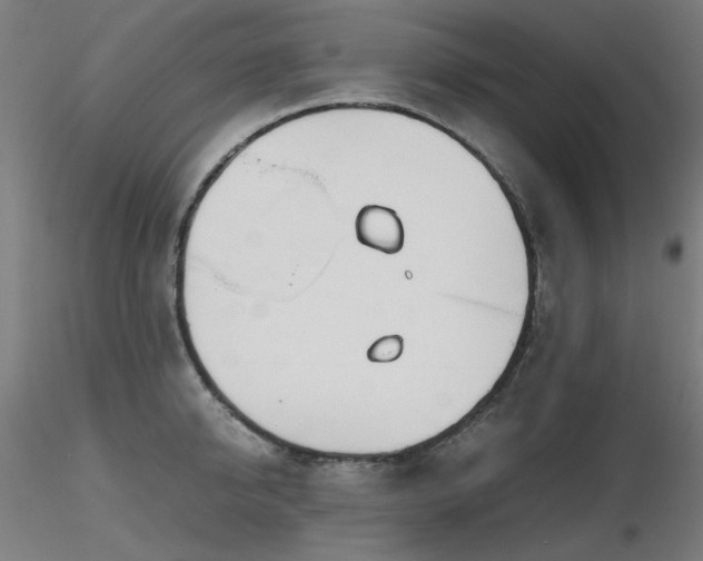 X0000116840950200912181454