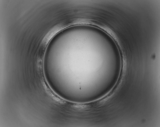 X0000116840953200912181454