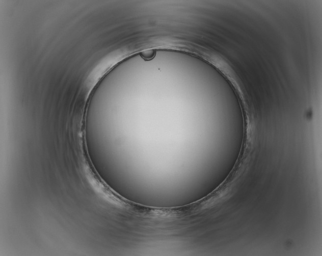 X0000116840954200912181454