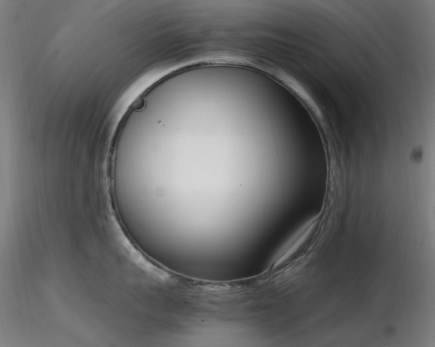 X0000116840959200912181454