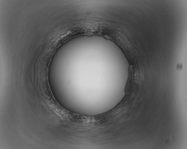 X0000116840961200912181454