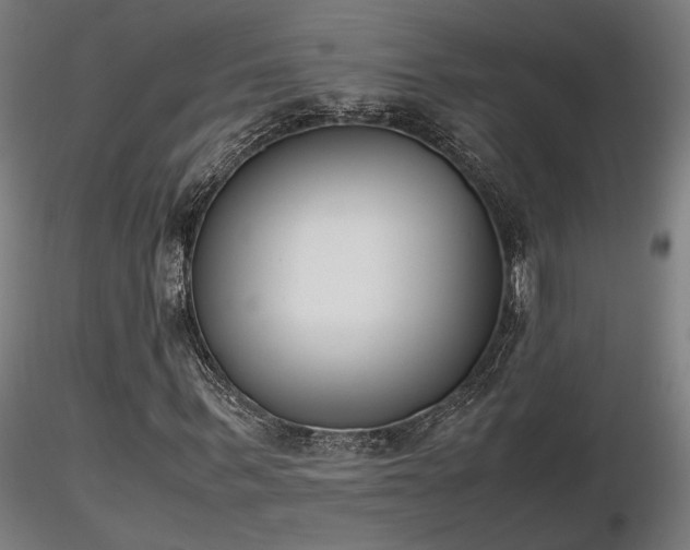 X0000116840963200912181454