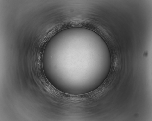 X0000116840964200912181454