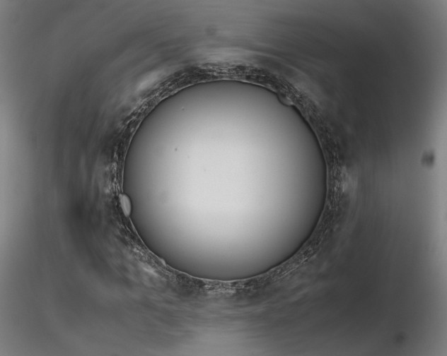 X0000116840965200912181454