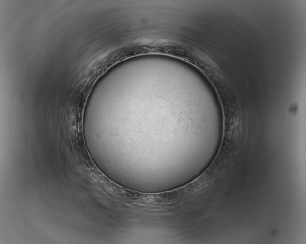 X0000116840966200912181454