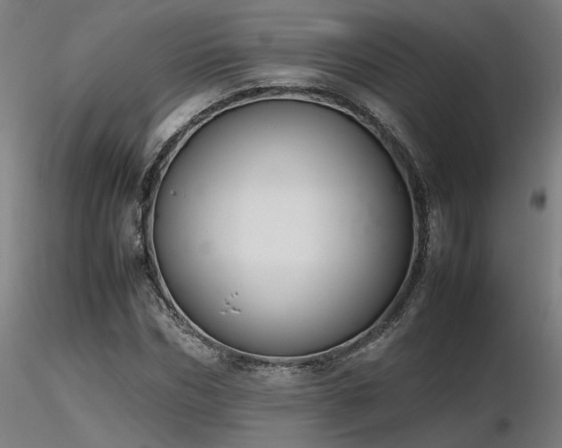 X0000116840970200912181454