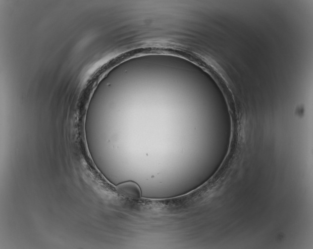 X0000116840971200912181454