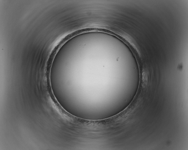 X0000116840972200912181454