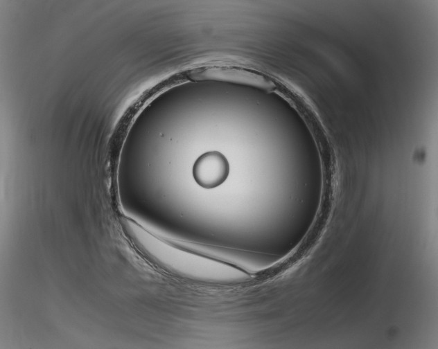 X0000116840973200912181454