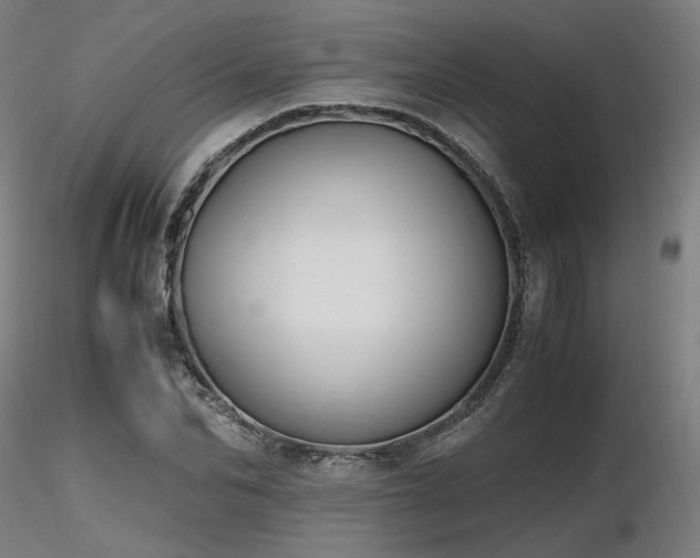 X0000116840974200912181454