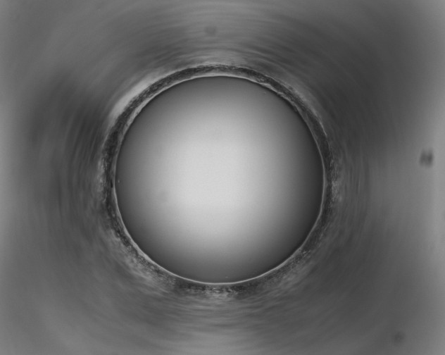 X0000116840975200912181454