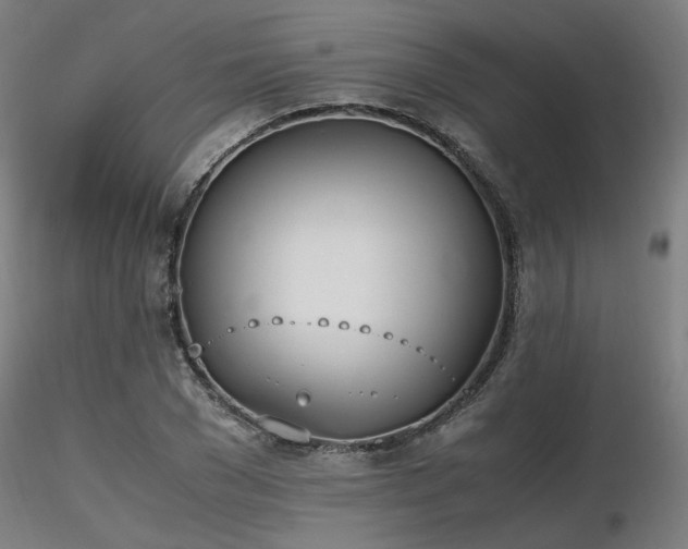 X0000116840977200912181454