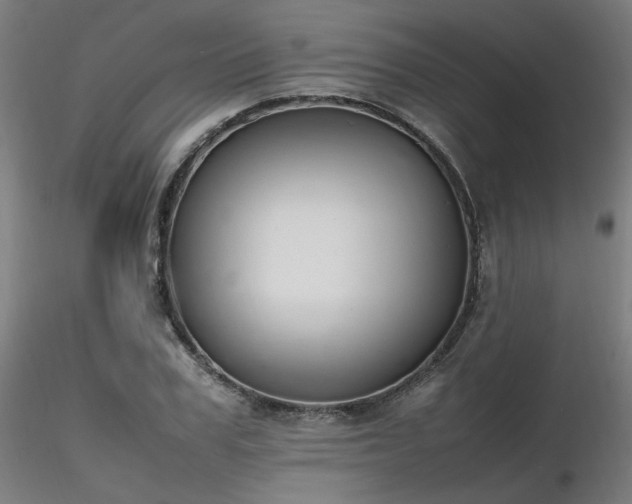 X0000116840979200912181454