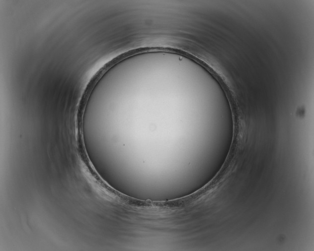 X0000116840980200912181453