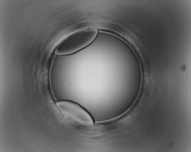 X0000116840981200912181453