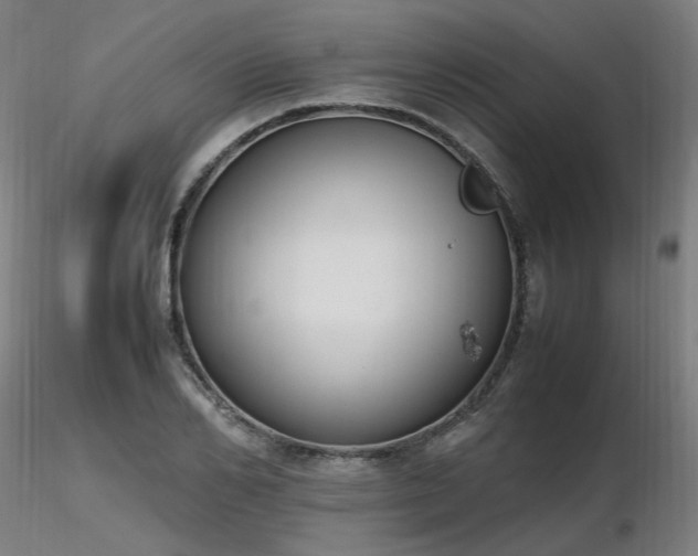 X0000116840982200912181453