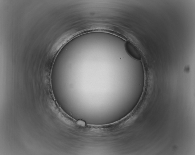 X0000116840985200912181453