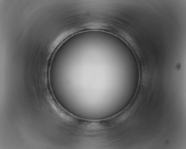 X0000116840986200912181453
