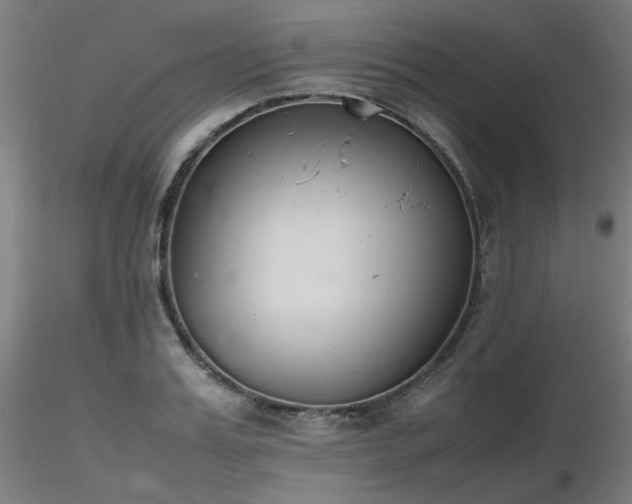 X0000116840987200912181453