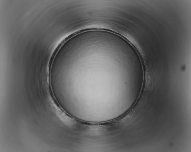 X0000116840988200912181453