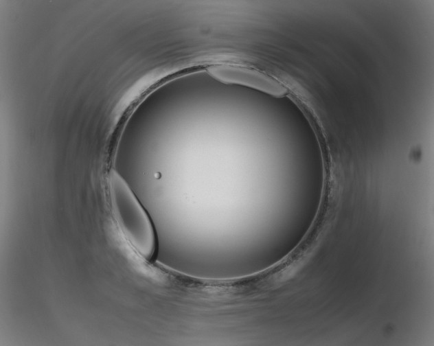 X0000116840989200912181453