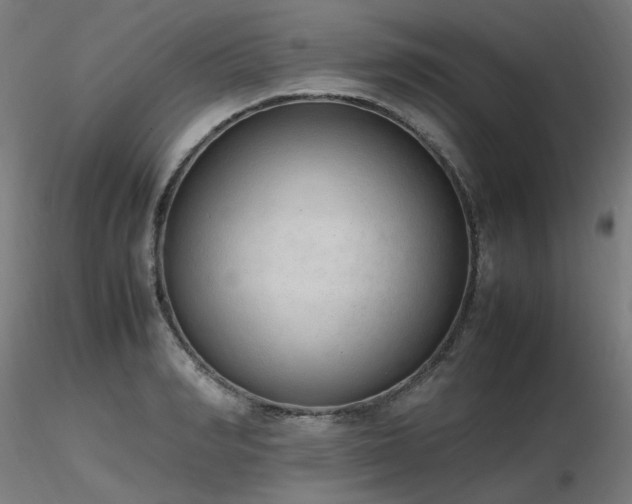 X0000116840990200912181453